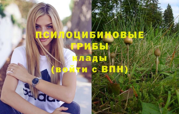 трава Ростов